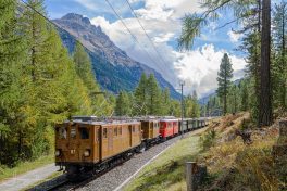 Club 1889: Abschiedsfahrten BB 81 am Bernina