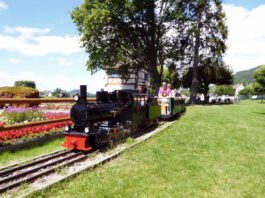 Dampfzug Stein am Rhein_Steiner Liliputbahn Verein_2020