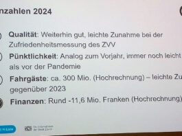 VBZ Weichen Zukunft Zahlen Jahr 2024_Sandro Hartmeier_3 12 24